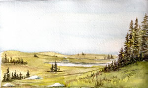 Watercolor painting of the coastal barrens of Polly's Cove, Nova Scotia.