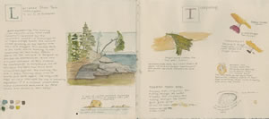Field journal entry, Larrabee State Park, Washington.