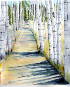 Watercolor painting, old road in through aspen grove, Lac Du Bois Provincial Park, Kamloops, British Columbia.