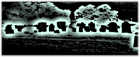 This spring a few hundred...