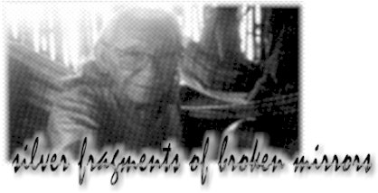 silver fragments of broken mirrors, by Marian Leal Ferreira.