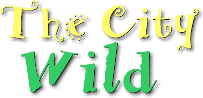 The City Wild, by Larry Borowsky