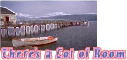 There's a Lot of Room, by Eva Salzman