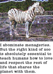 I abominate menageries. But the right kind of zoo is absolutely essential to teach humans how to love and respect the rest of life that shares the planet with them.