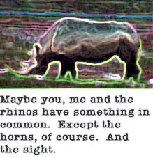 Maybe you, me and the rhinos have something in common. Except the horns, of course. And the sight.