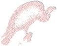 How Buzzard Got His Feathers