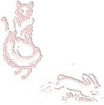 Rabbit and Fox