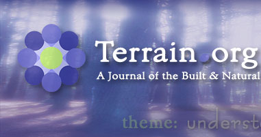 Terrain.org: A Journal of the Built & Natural Environments.  Issue Theme: Understory / Overgrowth