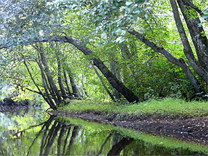 Balsto Riverbank.