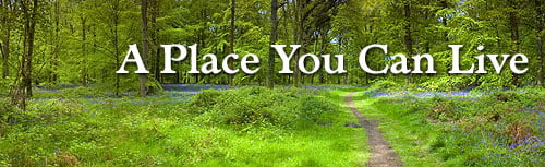 A Place You Can Live