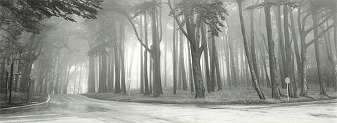 San Francisco Presidio # 1, 1989, by Lyle Gomes.