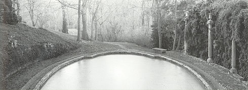 Frozen Pool, Dumbarton Oaks, Washington, D.C., 2004, by Lyle Gomes.