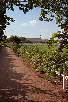 Gilbert Christian Schools, view from a pedestrian path through pastures.
