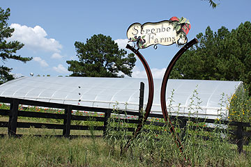 Serenbe Farms