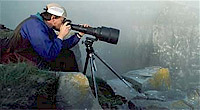 Photographs by Steven Holt