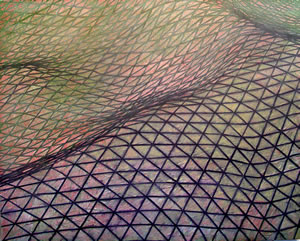 Jumpoff Ridge Meshscape