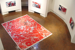 1Bailey.Infrared.overview