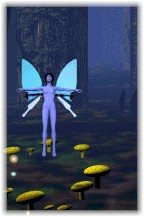 Digital Illustrations by Catja