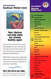 The Audubon Seafood Wallet Card - Click to view/download.