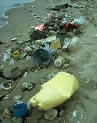 Cruise ship debris washed ashore.