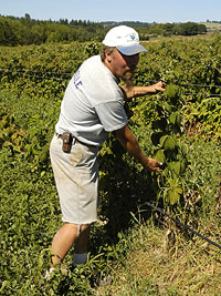 Farmer Jeff Boden of West Union Gardens.