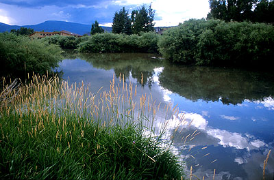 Trout fishery.