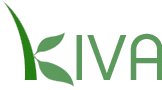 Kiva.