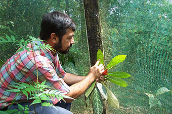 Biologist Joaquin Gamboa helps document and preserve the biodiversity of Rara Avis.