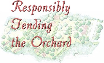 Responsibly Tending the Orchard, by Michelle Crowe