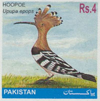 Hoopoe of Pakistan (stamp).