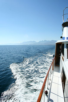 El Don, Loreto Bay, and Baja California Sur.