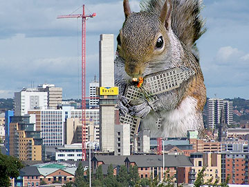 Squirrelzilla, even more intimidating on Blu-ray high def.
