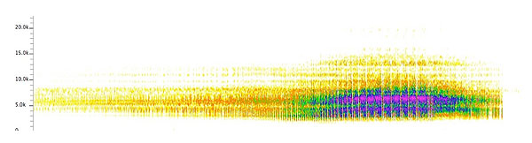 Sonogram of 20 seconds of the song of Tibicen chloromera
