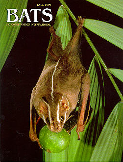 Bats magazine.