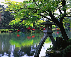 Japanese garden.
