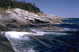 The Maine coastline.