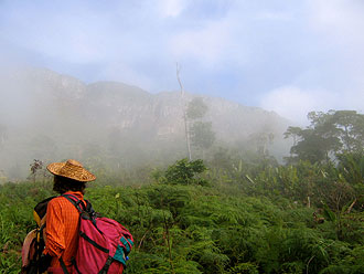 The only way out of the rainforest is to climb El Abismo.