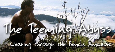 The Teeming Abyss: Weaving through the Pemón Amazon