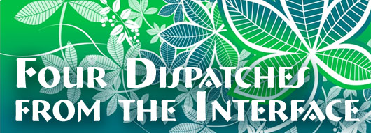 Four Dispatches from the Interface