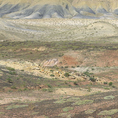 Desert