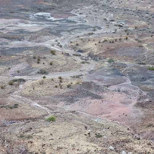 Desert