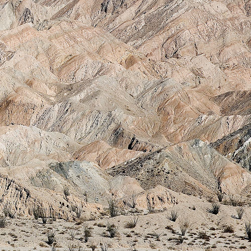 Desert