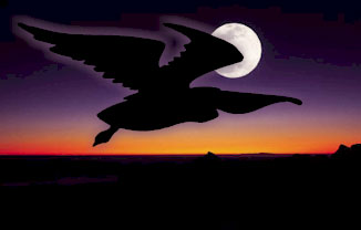 Ghoulish moonbird and full moon.