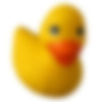 Rubber duck