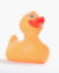 Rubber duck