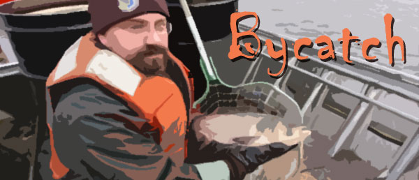 Bycatch