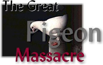 The Great Pigeon Massacre, by Vicki Lindner