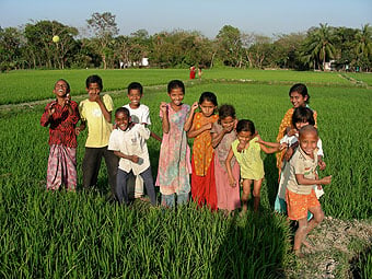 Children playing in rice paddy.