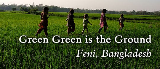 Green Green is the Ground : Feni, Bangladesh