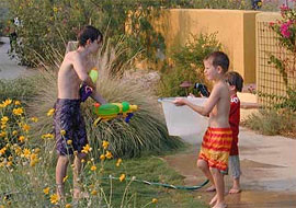 Sonora Cohousing children at play.